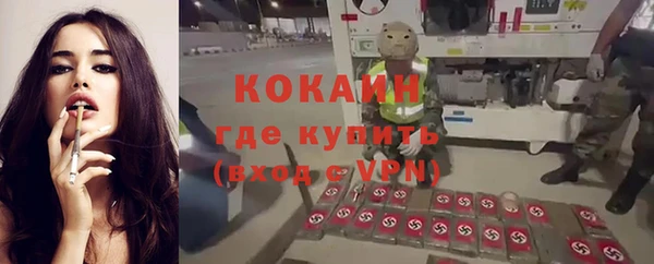 СК Волосово