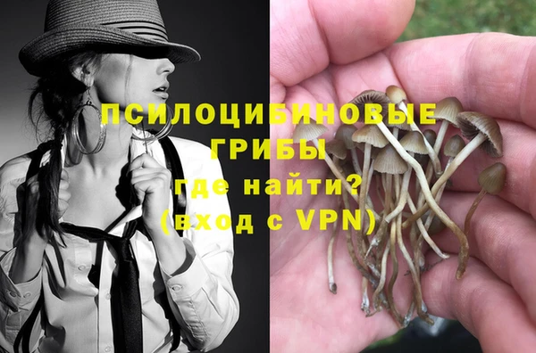 СК Волосово