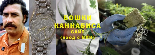 СК Волосово